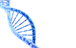 Genomic & molecular profiling